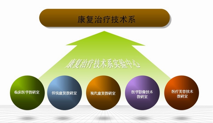 康复治疗技术系组织机构示意图